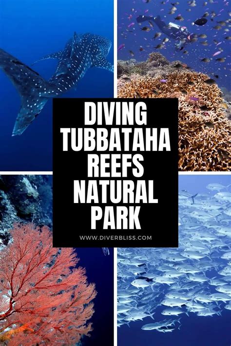 How to pronounce Tubbataha .